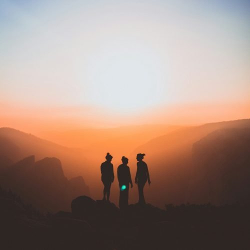 karl-magnuson-MvxMvPO3S1M-unsplash